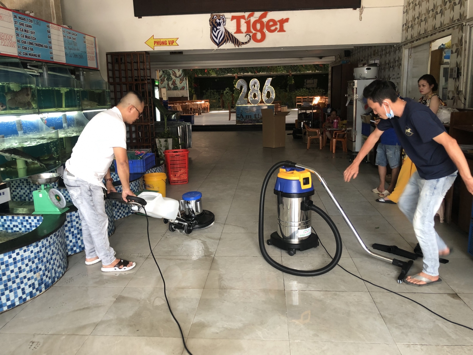 Máy Chà Sàn Đơn Cầm Tay Davi Clean DV-17S - [Nhật Bản] 